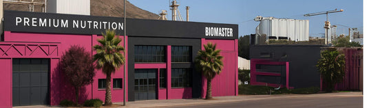 ENTREVISTA: PROYECTO DE SISTEMA DE EXTRACCIÓN EN PLANTA BIOMASTER.